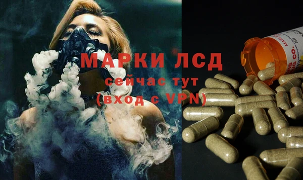 apvp Алексин