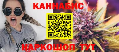мдпв Гусев