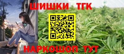 мдпв Гусев