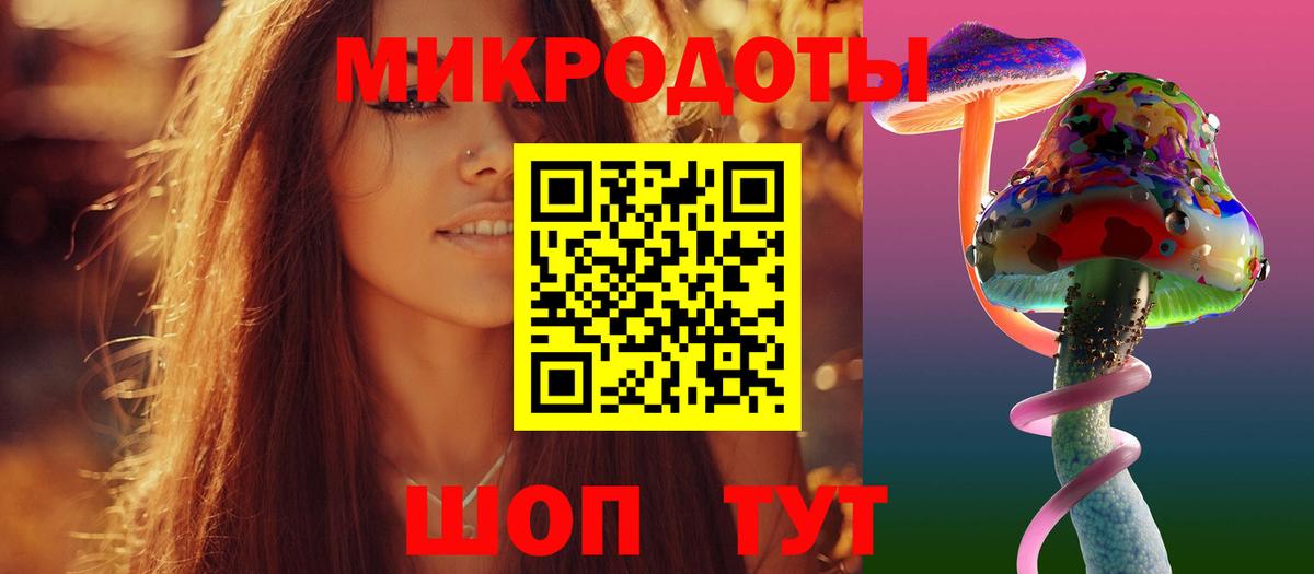 Псилоцибиновые грибы мицелий Лабинск