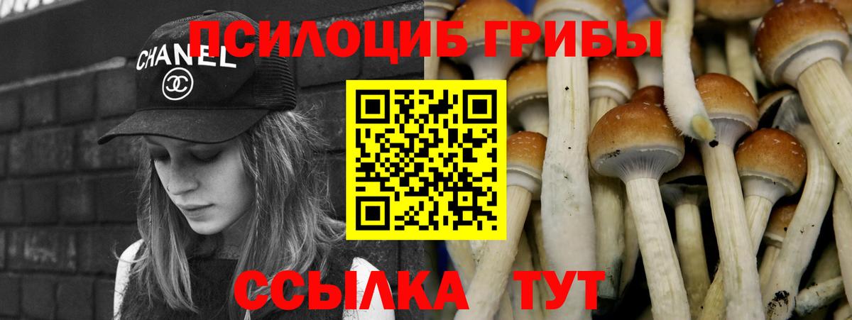 Лабинск  Галлюциногенные грибы ЛСД  Вход с VPN  Псилоцибиновые грибы Magic Shrooms 